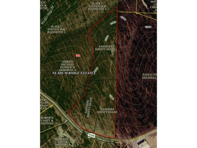 If you're looking for Beaver Lake area acreage with excellent - photo 20