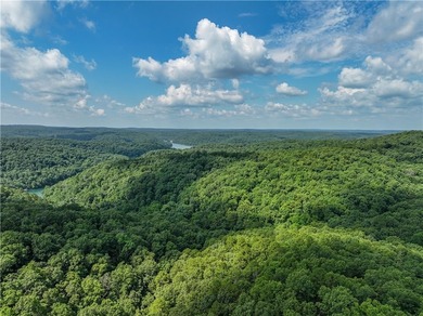 If you're looking for Beaver Lake area acreage with excellent - photo 22