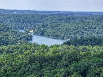 If you're looking for Beaver Lake area acreage with excellent - photo 23