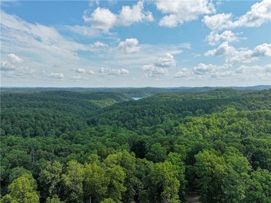 If you're looking for Beaver Lake area acreage with excellent - photo 24