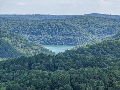 If you're looking for Beaver Lake area acreage with excellent - photo 25