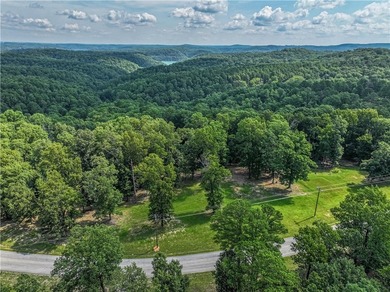 If you're looking for Beaver Lake area acreage with excellent - photo 26