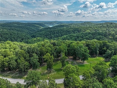 If you're looking for Beaver Lake area acreage with excellent - photo 27