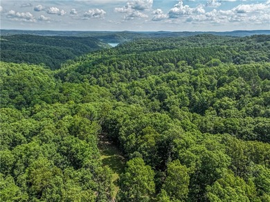 If you're looking for Beaver Lake area acreage with excellent - photo 28