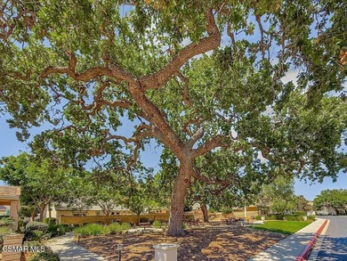 This Casa Flores residence stands apart for its pride of - photo 29