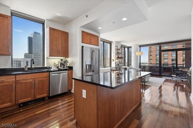 Beautiful 23rd-floor corner residence in one of Downtown Jersey - photo 7