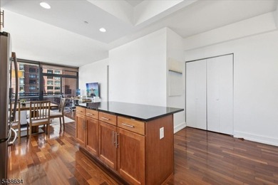 Beautiful 23rd-floor corner residence in one of Downtown Jersey - photo 8