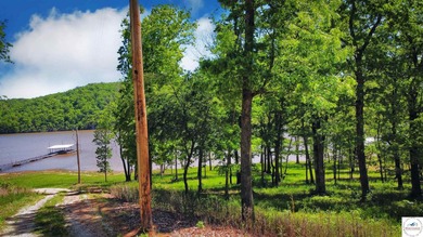 This is a hard one to find, so don't wait! 27+/- acres of - photo 15
