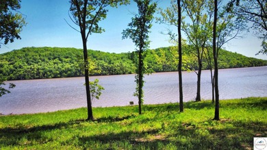 This is a hard one to find, so don't wait! 27+/- acres of - photo 18