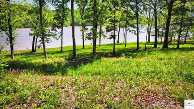 This is a hard one to find, so don't wait! 27+/- acres of - photo 19