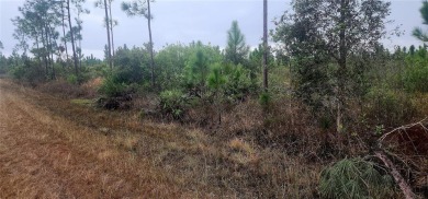 Lake Weohyakapka Lot For Sale in Indian Lake Estates Florida