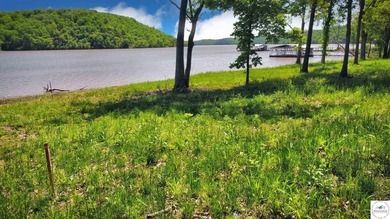 This is a hard one to find, so don't wait! 27+/- acres of - photo 21