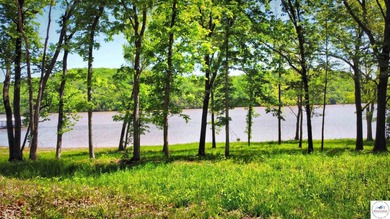 This is a hard one to find, so don't wait! 27+/- acres of - photo 22