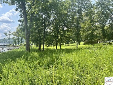 This is a hard one to find, so don't wait! 27+/- acres of - photo 23
