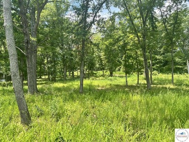 This is a hard one to find, so don't wait! 27+/- acres of - photo 24