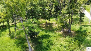 This is a hard one to find, so don't wait! 27+/- acres of - photo 25