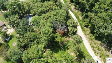 This is a hard one to find, so don't wait! 27+/- acres of - photo 26