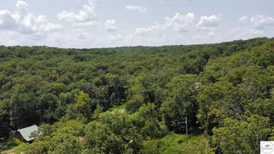 This is a hard one to find, so don't wait! 27+/- acres of - photo 31