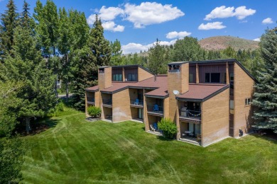 Big Wood River Condo For Sale in Ketchum Idaho