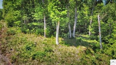 This is a hard one to find, so don't wait! 27+/- acres of - photo 32