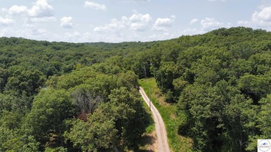 This is a hard one to find, so don't wait! 27+/- acres of - photo 33