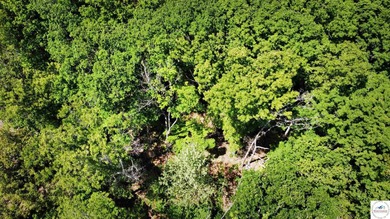 This is a hard one to find, so don't wait! 27+/- acres of - photo 34