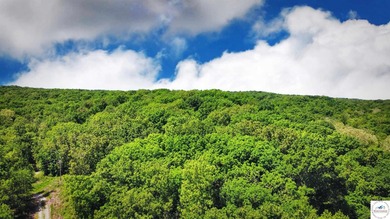 This is a hard one to find, so don't wait! 27+/- acres of - photo 35