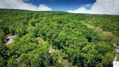 This is a hard one to find, so don't wait! 27+/- acres of - photo 36