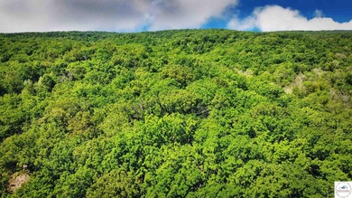 This is a hard one to find, so don't wait! 27+/- acres of - photo 37