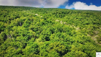 This is a hard one to find, so don't wait! 27+/- acres of - photo 38