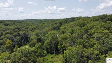 This is a hard one to find, so don't wait! 27+/- acres of - photo 39