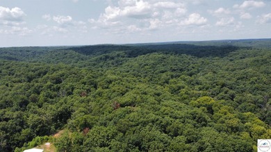 This is a hard one to find, so don't wait! 27+/- acres of - photo 40