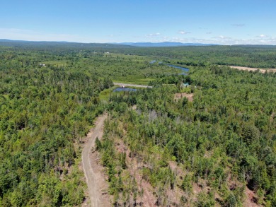 Piscataquis River - Piscataquis County Acreage For Sale in Abbot Maine