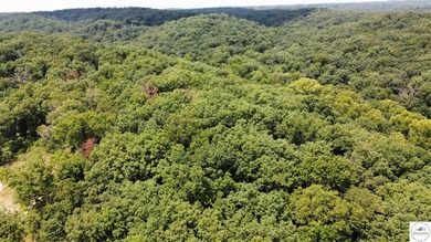 This is a hard one to find, so don't wait! 27+/- acres of - photo 41