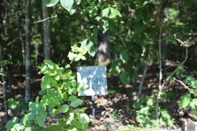 Lake Lot For Sale in New Concord, Kentucky