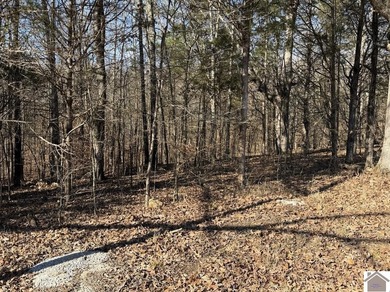Lot 46 Bayridge Rd - photo 2