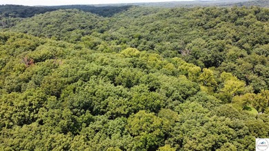 This is a hard one to find, so don't wait! 27+/- acres of - photo 43