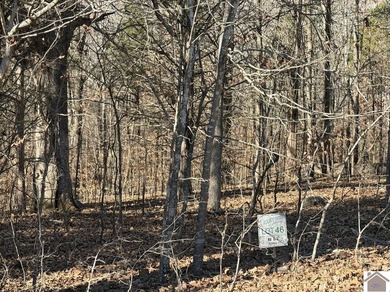 Lot 46 Bayridge Rd - photo 3