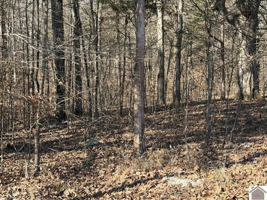 Lot 46 Bayridge Rd - photo 4