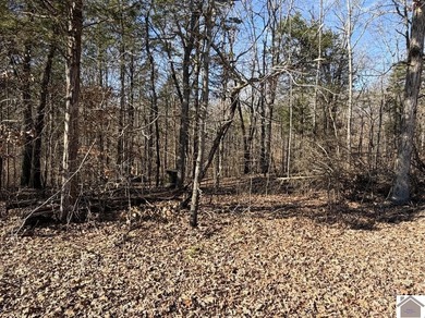 Lot 46 Bayridge Rd - photo 5