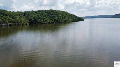 This is a hard one to find, so don't wait! 27+/- acres of - photo 46