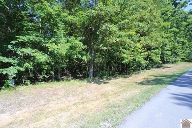 Lot 46 Bayridge Rd - photo 7
