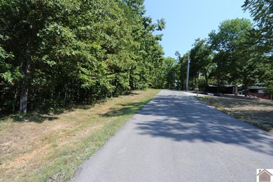 Lot 46 Bayridge Rd - photo 8