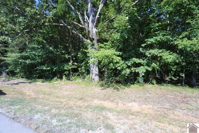 Lot 46 Bayridge Rd - photo 9