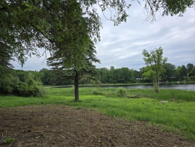 Town Line Lake Lot For Sale in Barryton Michigan