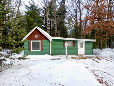 Lake Home For Sale in Prudenville, Michigan