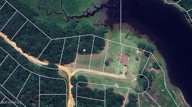 Lake Lot For Sale in Lumberton, Mississippi