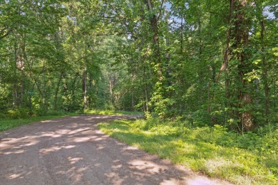 Lake Acreage For Sale in Belmont, Michigan