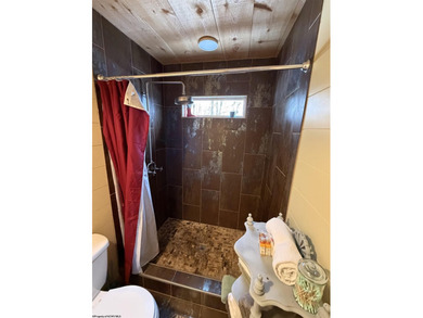 Investment Opportunity in the Heart of Thomas, WV! Discover a - photo 13