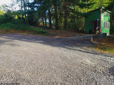 Investment Opportunity in the Heart of Thomas, WV! Discover a - photo 29